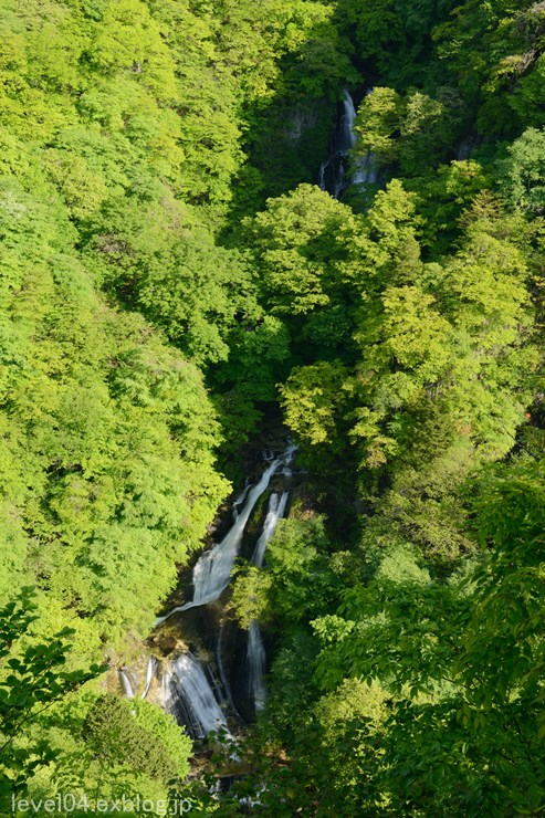 d0319222_13135752.jpg