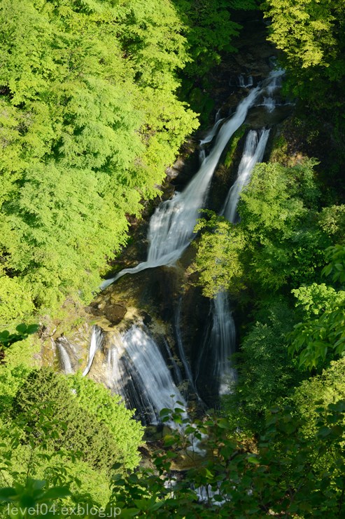 d0319222_1314544.jpg