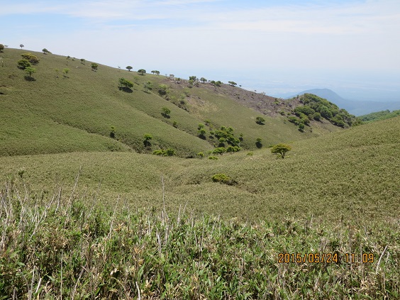 a0048823_12111867.jpg