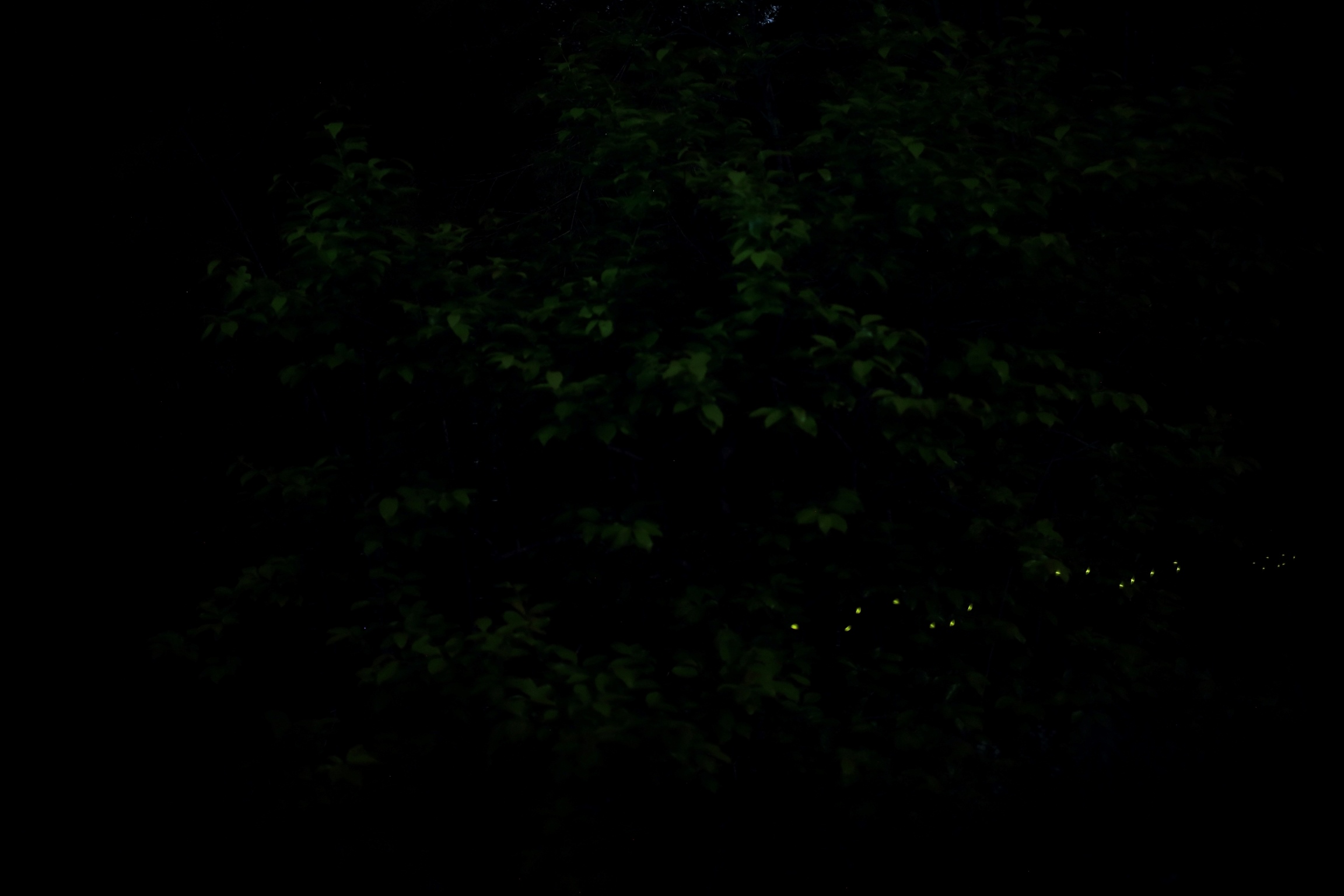 b0146723_1502384.jpg