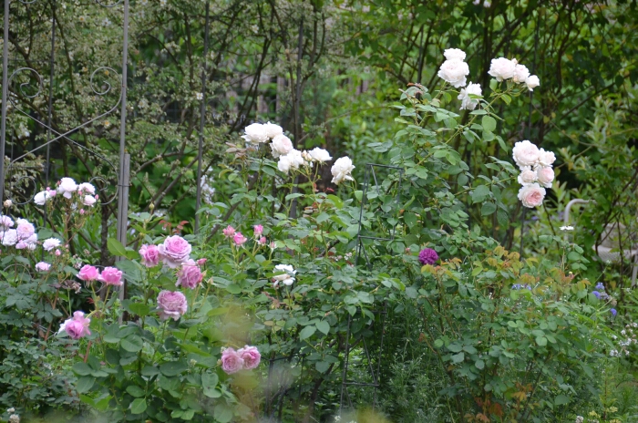 d0272423_13332960.jpg