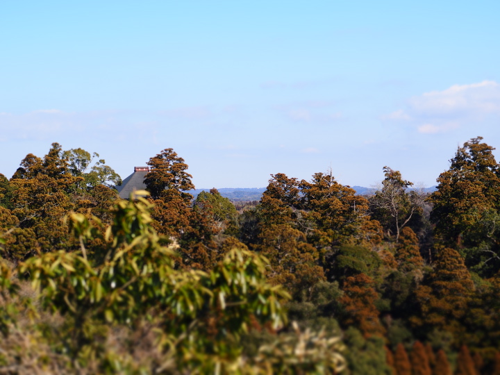 b0244424_23523150.jpg