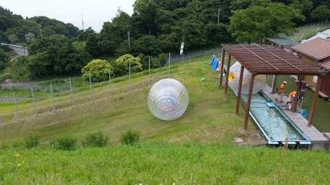 芦北海浜総合公園 株 通宝通信 芦北海浜総合公園 株 通宝通信