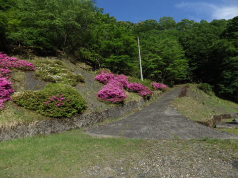 d0045626_21514126.jpg