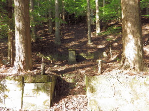 d0045626_21515100.jpg