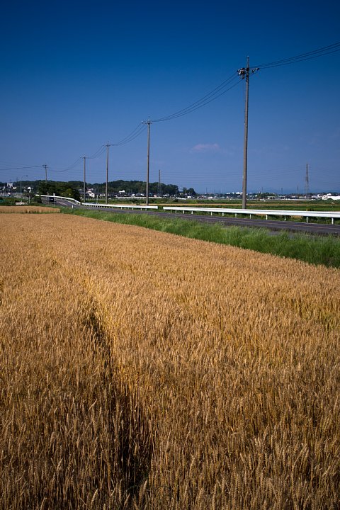 b0134829_2210826.jpg