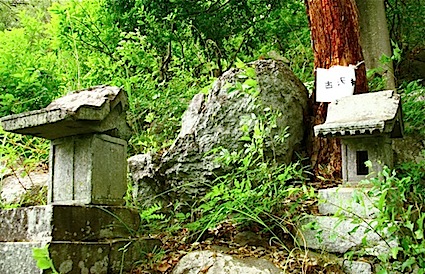 ヤマトタケル ⑨ 国津神の子孫 〜 酒折宮_a0300530_15321026.jpg