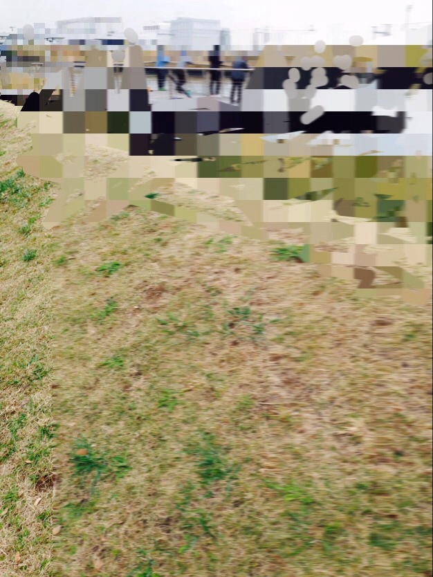 c0234439_78237.jpg