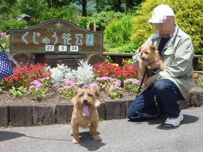 くじゅう花公園で犬吉撮影会♪_c0211540_2230119.jpg