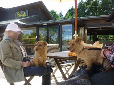 くじゅう花公園で犬吉撮影会♪_c0211540_22342360.jpg