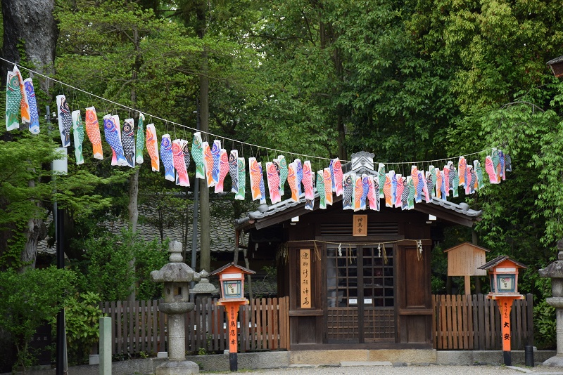 ツツジが満開『八坂神社』の5月の節句20150429_e0237645_17354100.jpg