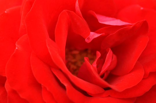 c0093046_6285514.gif