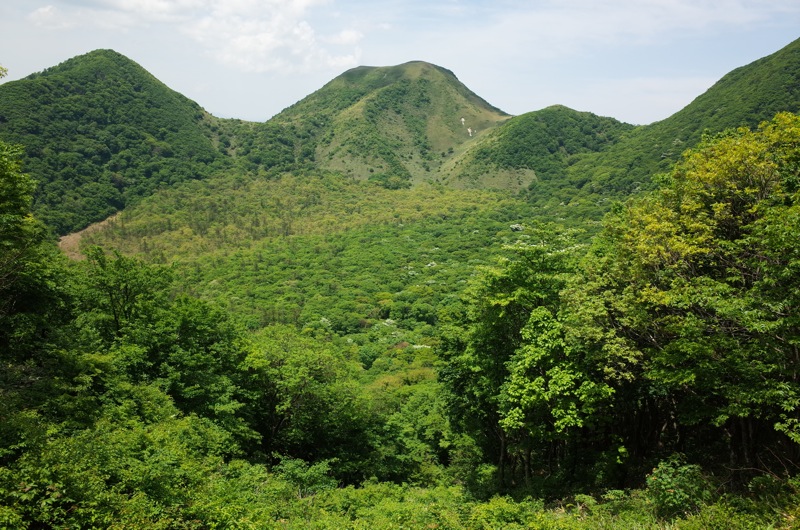 f0169147_20533151.jpg