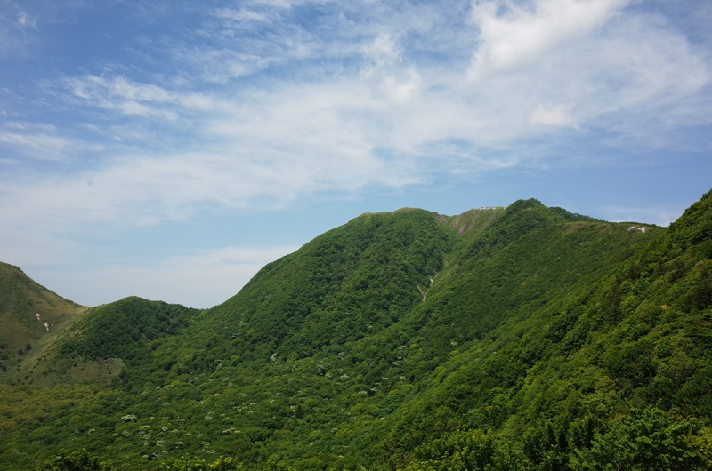 f0169147_20592117.jpg