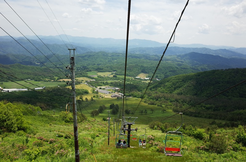 f0169147_20595240.jpg
