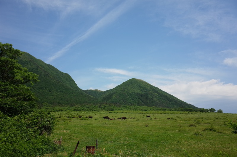 f0169147_2143899.jpg