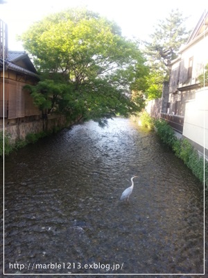 2015京都旅　～祇園さんぽとカカオマーケット バイ マリベル～_a0310054_12213176.jpg