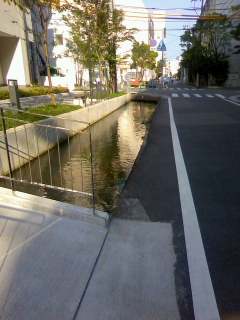 清々しい高知の朝_f0291565_941544.jpg