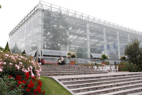 e0154682_00201558.jpg
