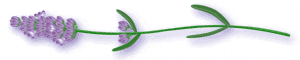 c0221884_19114150.gif