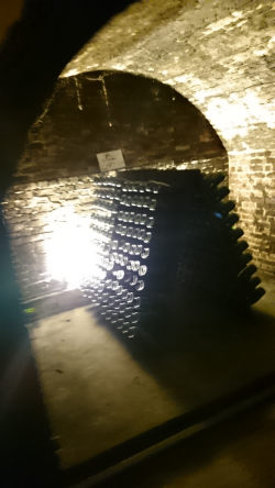 f0169885_6342326.jpg