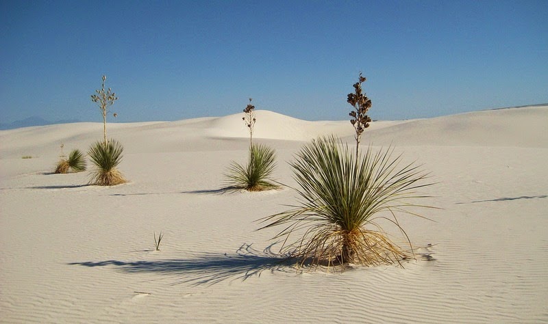 c0072801_23271282.jpg
