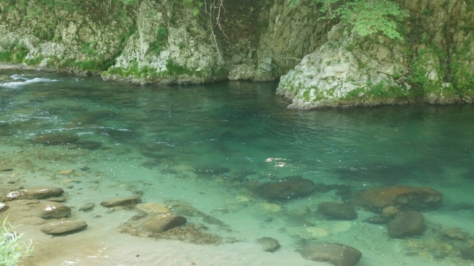 d0256703_17184700.jpg