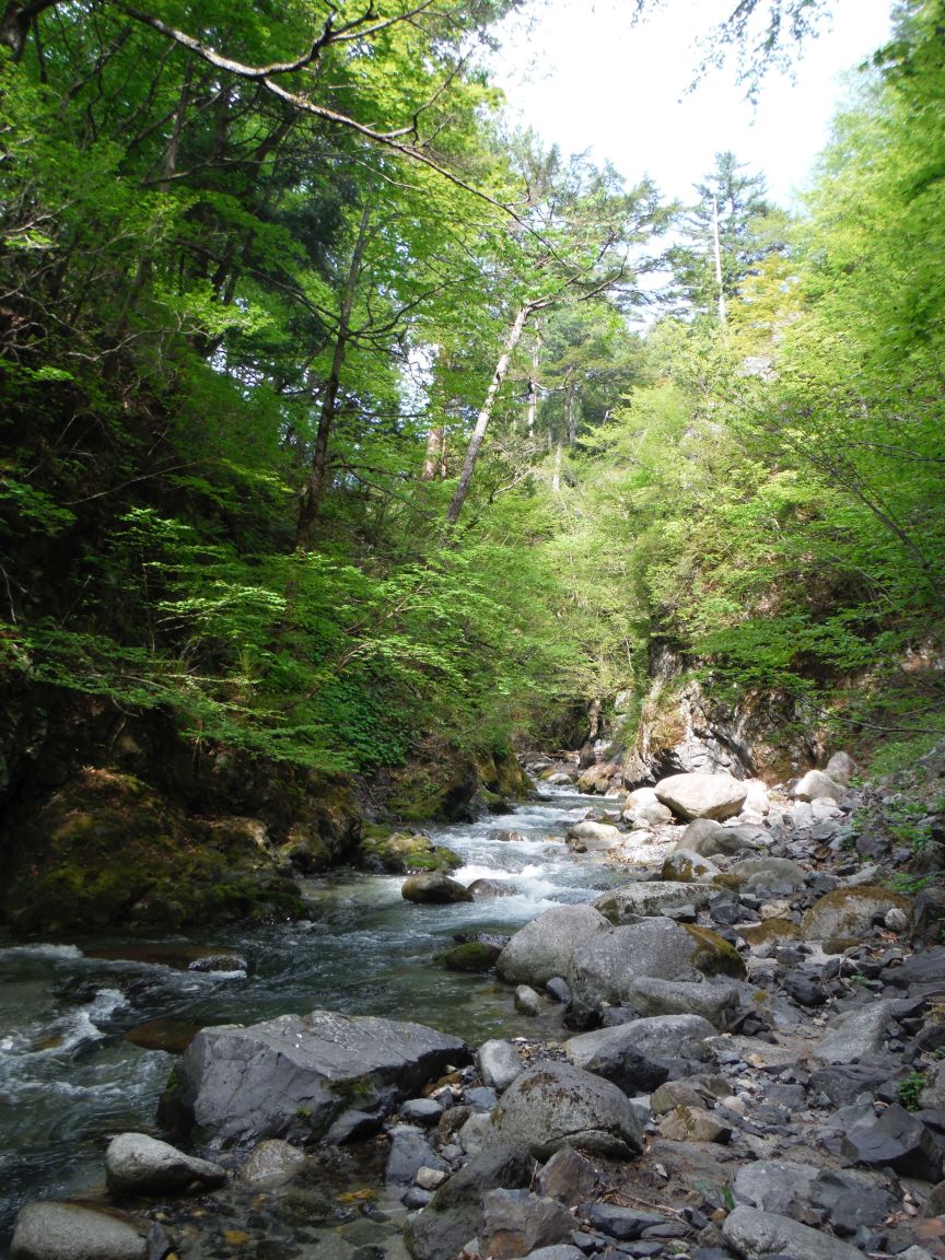 b0172805_9421735.jpg