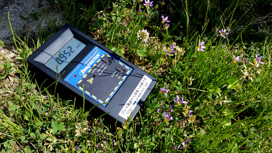 d0080906_16164240.jpg