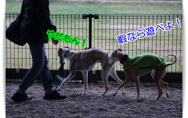 e0100007_22201539.jpg