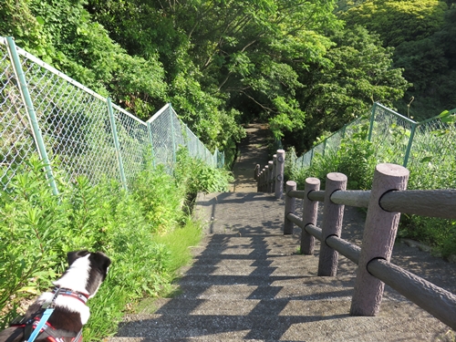 e0188009_15545131.jpg