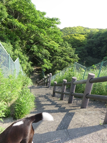 e0188009_15554739.jpg