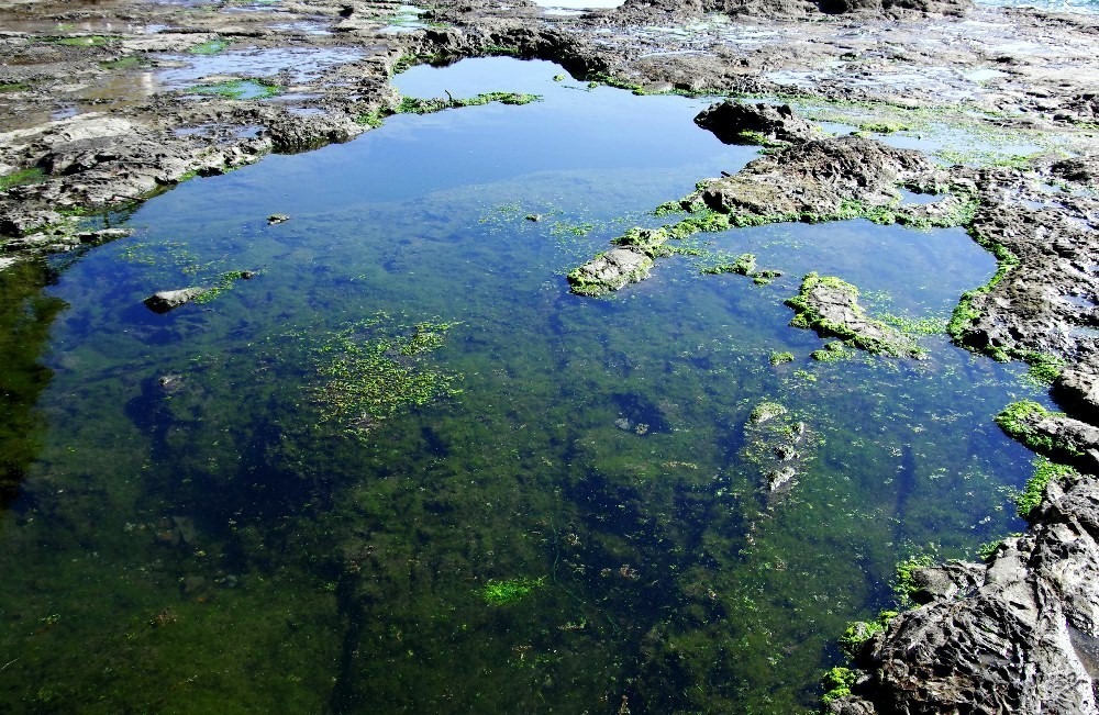 江の島・岩場から_c0352813_14051040.jpg