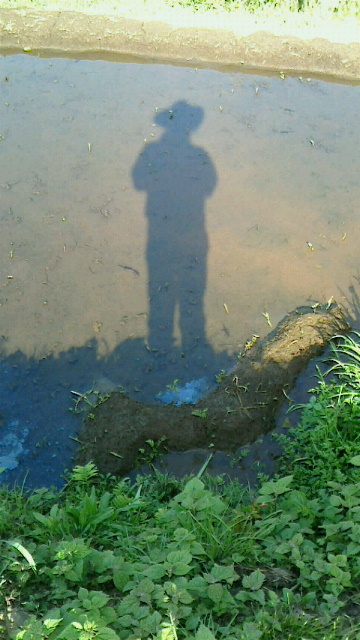 c0357413_07442142.jpg