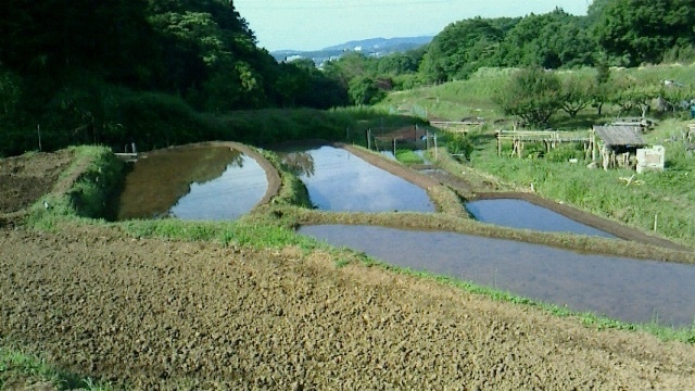 c0357413_07481995.jpg