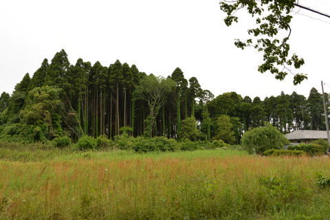 e0335926_11452141.jpg