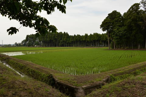 e0335926_11455590.jpg