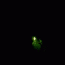 a0333431_22050480.gif