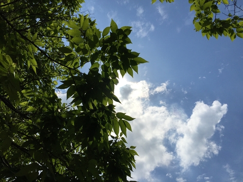 c0113733_13724.jpg