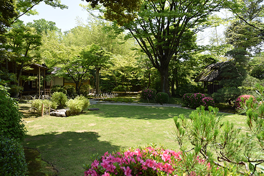 a0134734_17451093.jpg