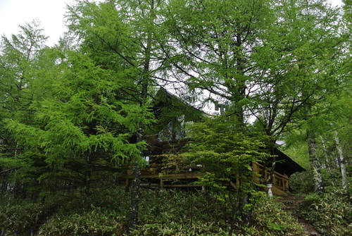 d0170835_21335410.jpg