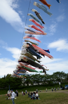 鯉のぼり祭りと凧揚げ祭り_c0220040_23162155.jpg