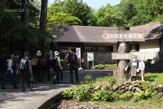 日光 上三依水生植物園で撮影会 ~クリンソウが見ごろ~_e0227942_14212909.jpg