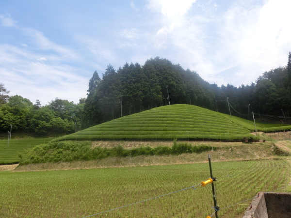 京都　南山城村の童仙房に行ってきました。_b0132746_11022653.jpg