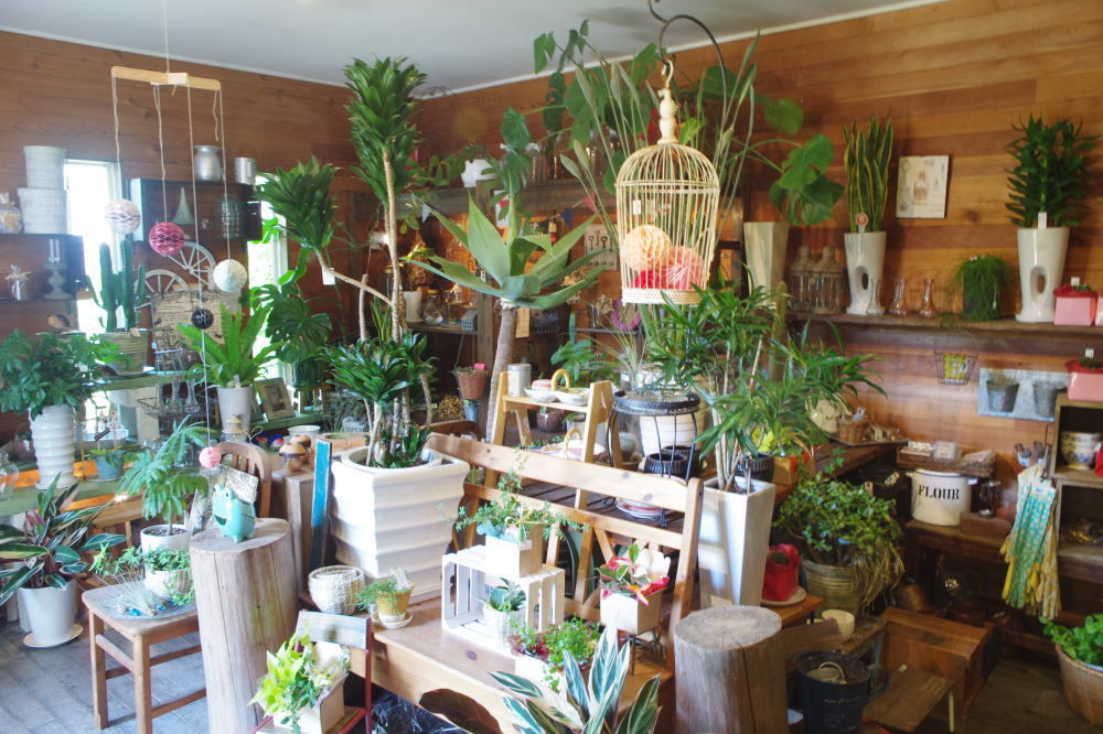 花屋の2階 亀工房で家を建てる 花屋の2階 亀工房で家を建てる