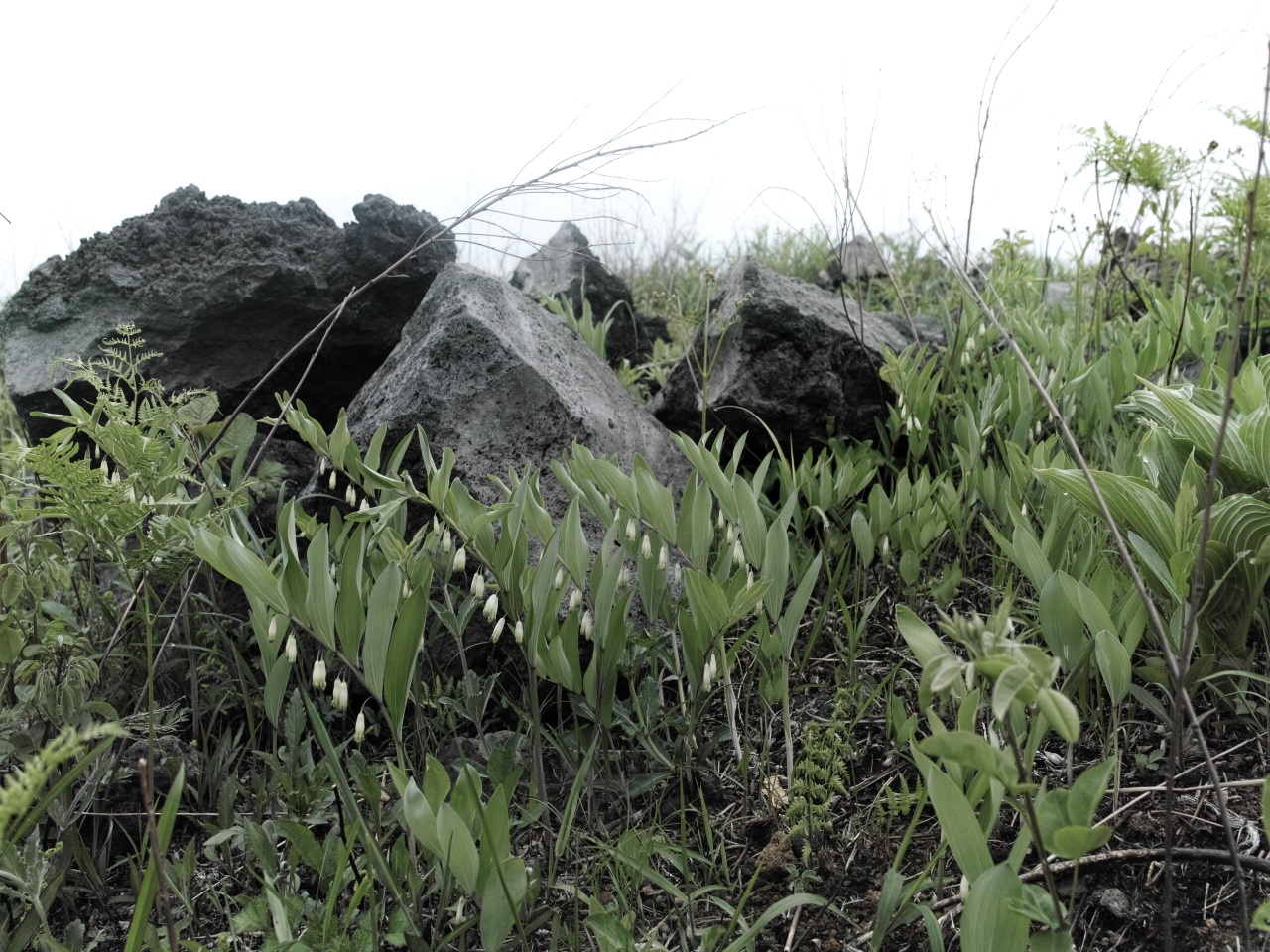 c0008948_1539897.jpg