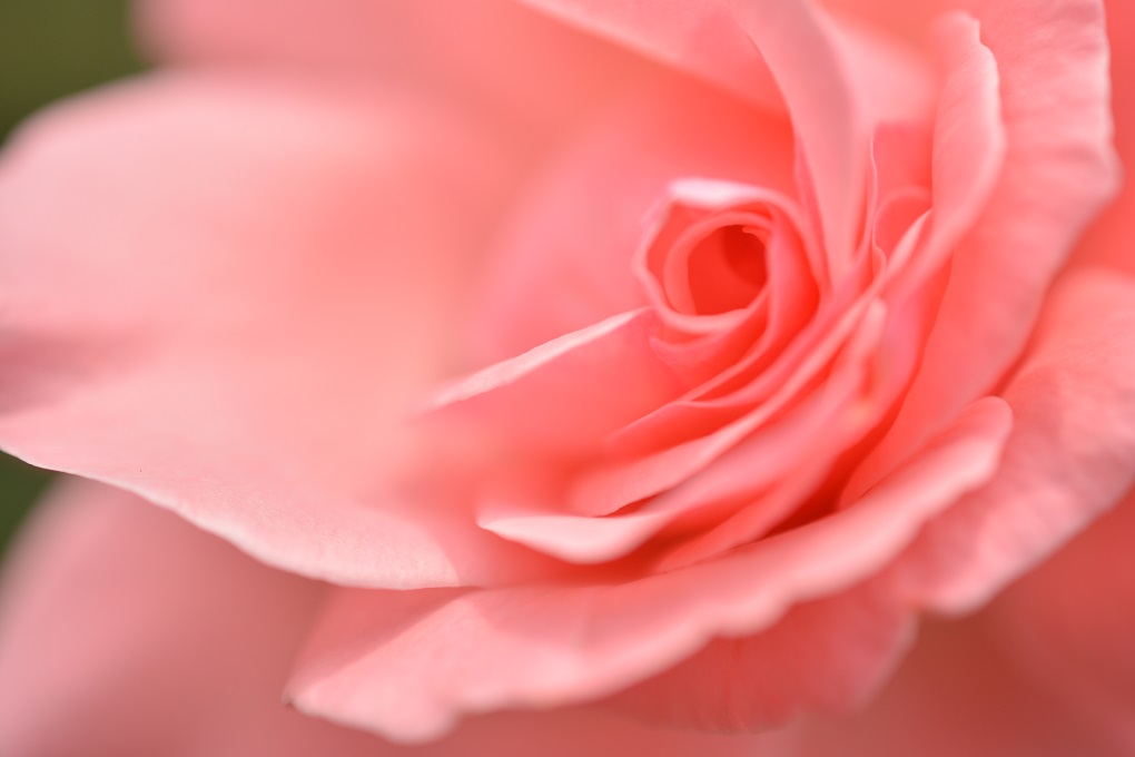 a0055650_0413212.jpg