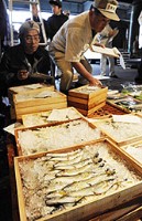 岐阜新聞 ウェブ 4月~5月「長良川」_f0197754_038143.jpg