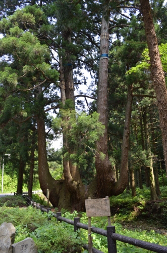 c0080861_13221375.jpg