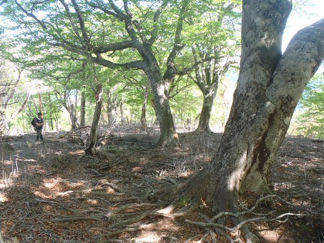 d0032262_10582100.jpg